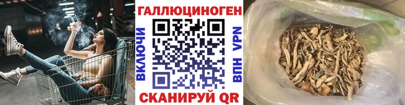 Купить где  Анива  Псилоцибиновые грибы мухоморы 
